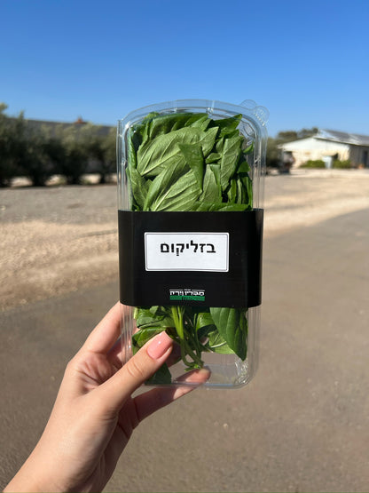בזיליקום