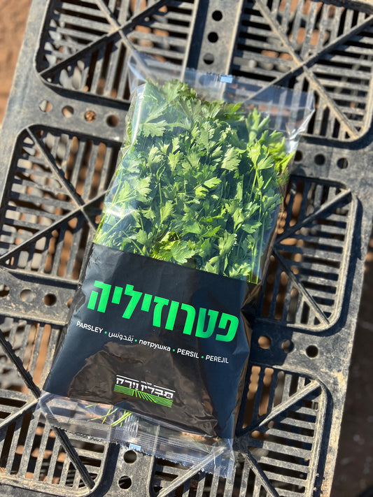פטרוזיליה