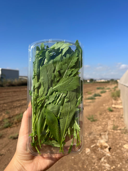 רוקולה