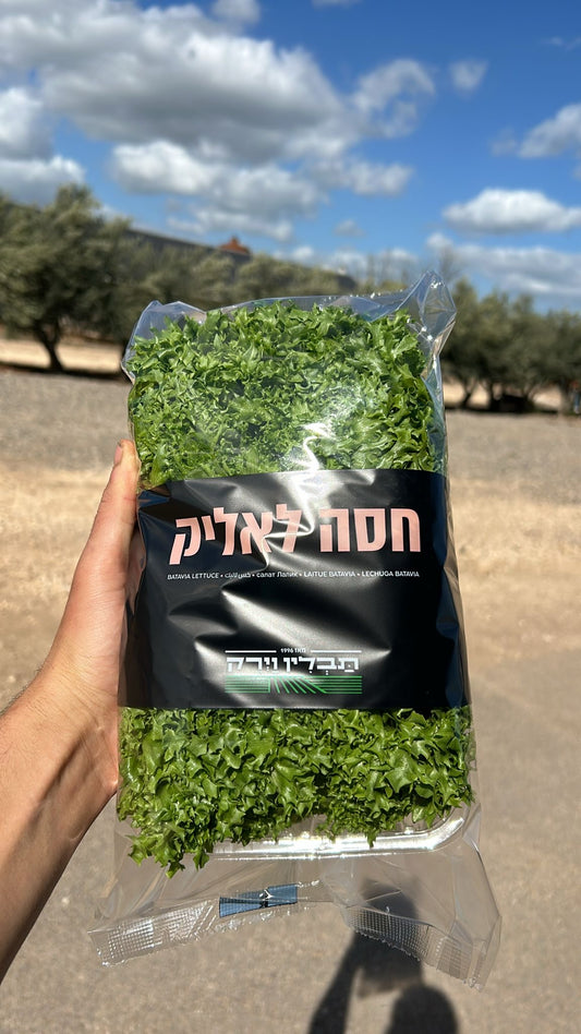 חסה לאליק