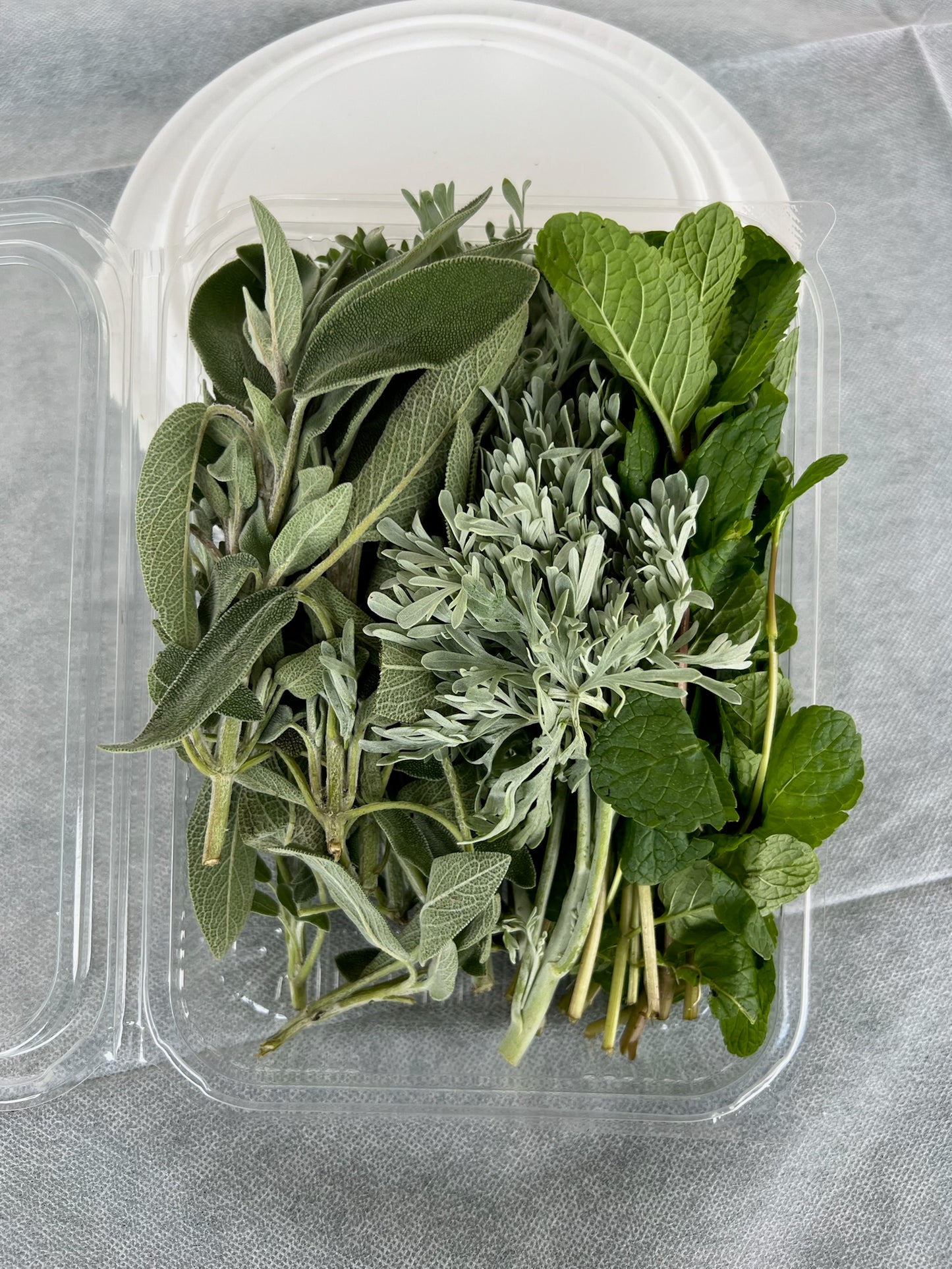 לקט חליטת צמחים לתה