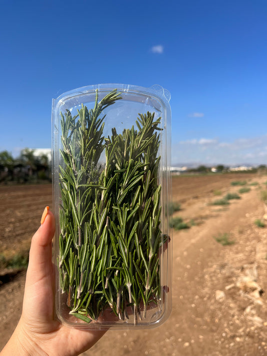רוזמרין